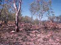 Stone piles representing two moieties. Photo: David M. Welch.